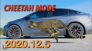Tesla Update 2020.12.5 - Cheetah Mode