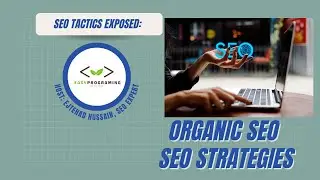 Organic SEO Strategies: Nurturing Your Website's Growth for Long-Term Success