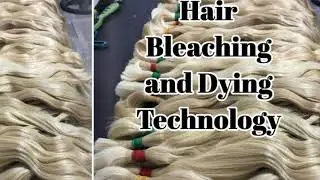 HAIR BLEACHING & DYEING TECHNOLOGY BOOK +  EBOOK + VIDEO INSTRUCTIONS