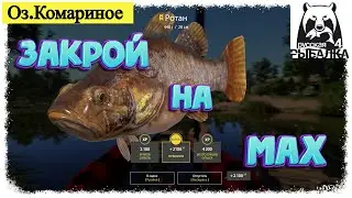 Russian Fishing4 #РР4...Оз.Комариное - Трофей Ротана. Русская рыбалка 4