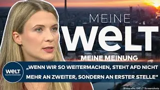 MEINE MEINUNG: 
