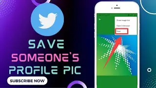 How to Save Someone's Twitter Profile Picture Into Your Gallery | Download Twitter Profile Picture