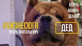 #БИЗНЕСЮГА | ДЕД