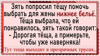 Теща в трусах и зять в примерочной магазина! Анекдоты. Юмор.