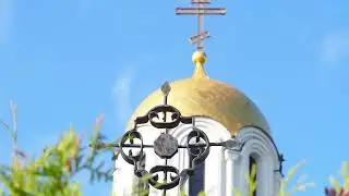 Зеленый оазис в Минске: в Радосте-Скорбященском приходе небывалый урожай яблок