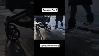 Bugaboo Fox 5 в снегу | Прогулка с коляской зимой