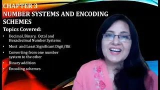 Number Systems and Encoding Schemes