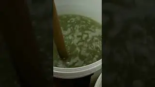 БРАГА ИЗ ХАЛВЫ САМОГОН С АРОМАТОМ СЕМЕЧЕК