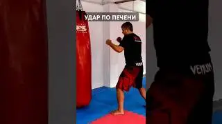 Как нанести удар по печени Киокушин Каратэ/ #каратэ #karate #киокушин #kyokushin #бокс #мма #спорт