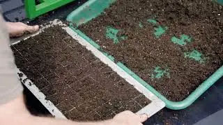 Quick Demo of the Johnny's 72-Cell Commercial Soil Blocker
