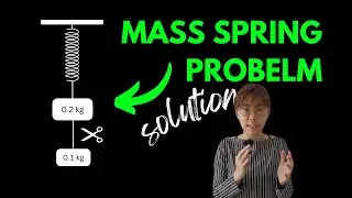 The Solution to the Mass Spring System Problem