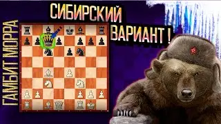 ГАМБИТ МОРРА! Грозное оружие против Сицилианской защиты! СИБИРСКИЙ ВАРИАНТ.