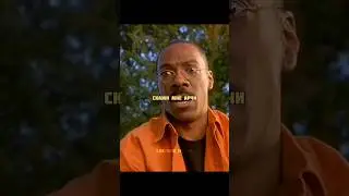 Гениальный медведь🤣(название в комментах)