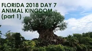 Florida 2018 Day 7: Animal Kingdom (part 1)