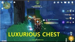 Ada Yang Tau Disitu Ada Luxurious Chest ??? | Genshin Impact