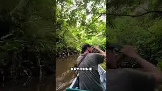 ЗМЕЯ длиной 15 метров! 🐍☠️ 