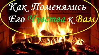 💘КАК ПОМЕНЯЛИСЬ ЕГО ЧУВСТВА? Вивиена таро