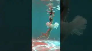 Как создаются крутые фото 📸 Балерина под водой