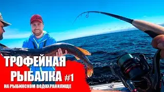 #1 РЫБАЛКА И ТРОФЕИ РЫБИНСКОГО ВОДОХРАНИЛИЩА / РЕКОРДЫ ПОБИТЫ / 2020 / Zastava Film