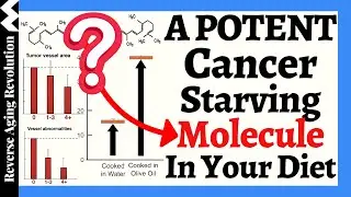 A POTENT Cancer Starving Molecule In YOUR DIET??