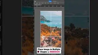 Place Image in Multiple Shapes in Indesign | #shorts