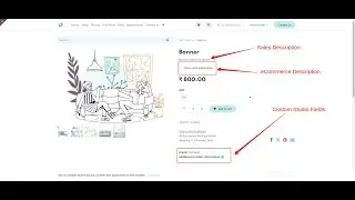 How to add custom studio fields on Odoo ecommerce product page