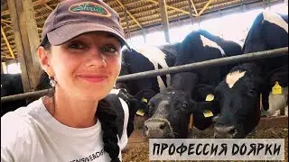 Профессия доярки на современном молочно-товарном комплексе