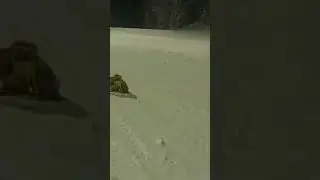 Когда очки не догнали сноубордиста )