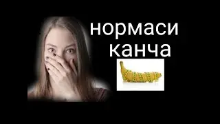 Тез тамом кардан  