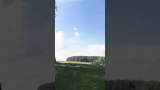 Прогулки в июле.