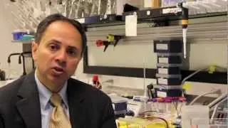 Nano Technology Update from Dr. Sanjiv (Sam) Gambhir of the Canary Center
