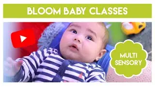 Bloom Baby Classes: what to expect at one of our multi award winning sensory classes for babies.