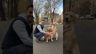 Hugs around Boston