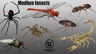 Medhue Insect Pack on Unreal Engine!