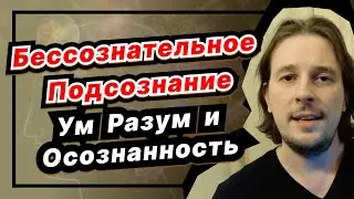 Бессознательное и Подсознание, Ум и Разум, Осознанность и Сознательность, - в чём разница