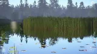 Русская Рыбалка 4. оз. Медвежье. Троф - черный амур.