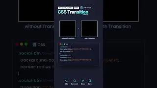 CSS Transition 