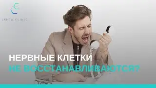 Нервные клетки не восстанавливаются — правда или миф?