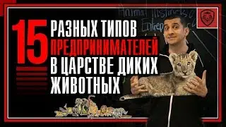 15 типов зверей в царстве предпринимателей