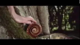 Ваш Взгляд   Ваш Мир DOLETA