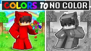 Our COLORS are GONE in Minecraft!