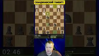 Скандинавская гамбит, быстрый учебный разгром#shorts #chess #шахматы