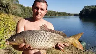 Рыбалка на Днестре на карпа и карася. Рыбалка 2024. Fishing 2024