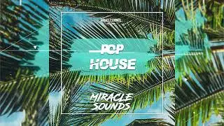 Pop House Sample Pack (Joel Corry Style)