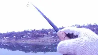 Ловля крупного судака, сома и щуки на Оке в ноябре