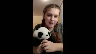 Айлен лаоши ( преподаватель китайского Алена)