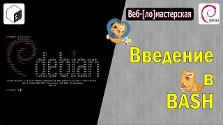 Основы BASH. Первый скрипт на BASH. Как сделать интерактивный скрипт на BASH.