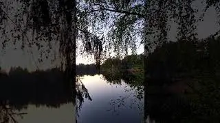 Белые ночи Петербурга - ночью светло как днем
