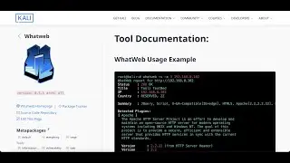 Mastering Web Application Reconnaissance with WhatWeb