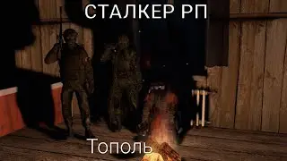Новичок | СТАЛКЕР РП | Сервер: DayZone
